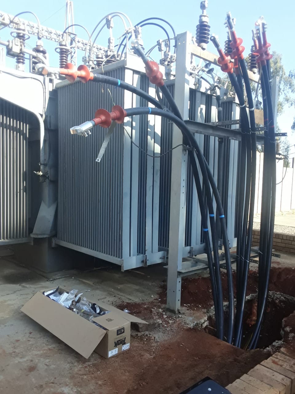 Hyacinth Project Images (1)