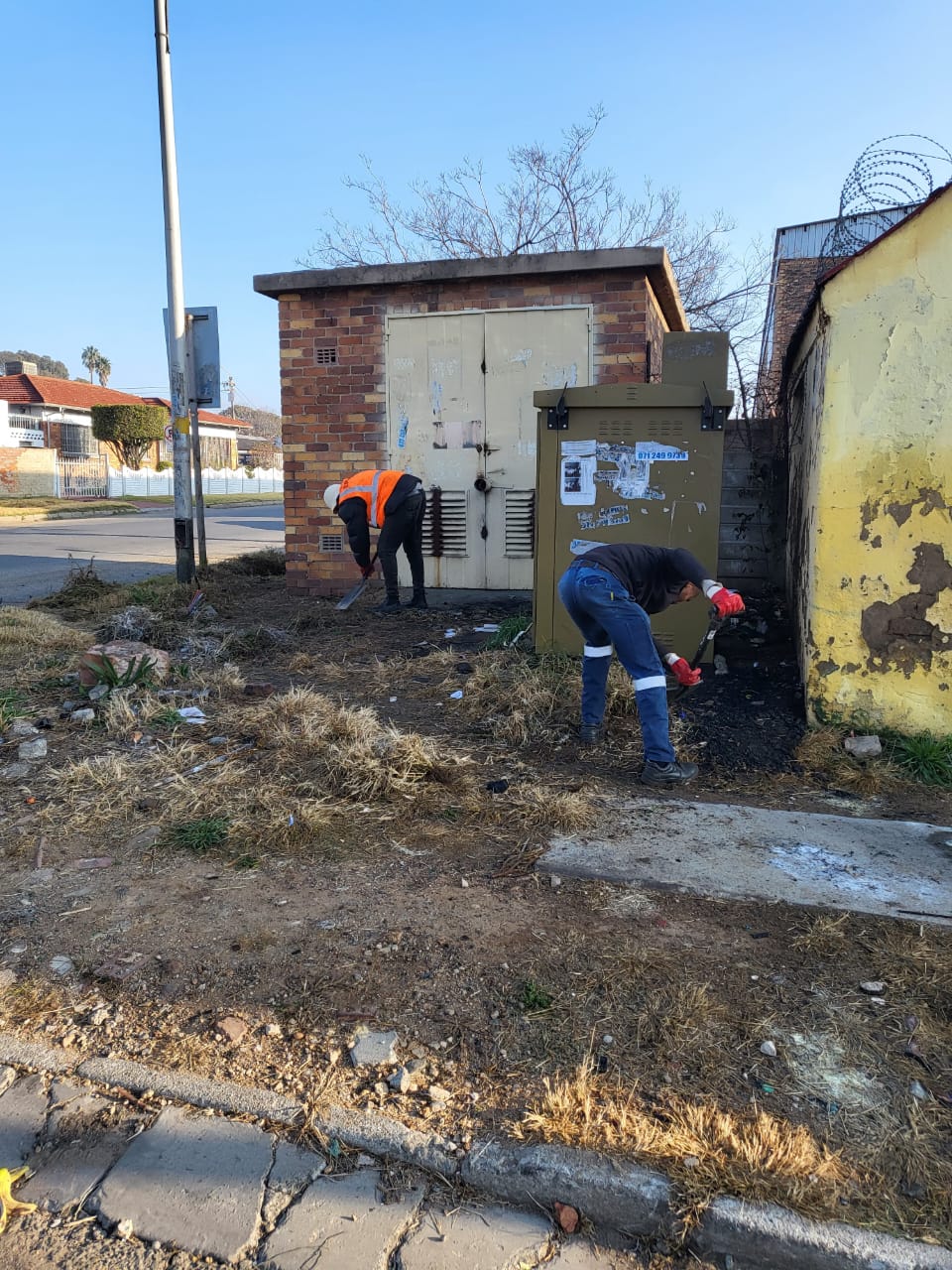 Hyacinth Project Images (28)