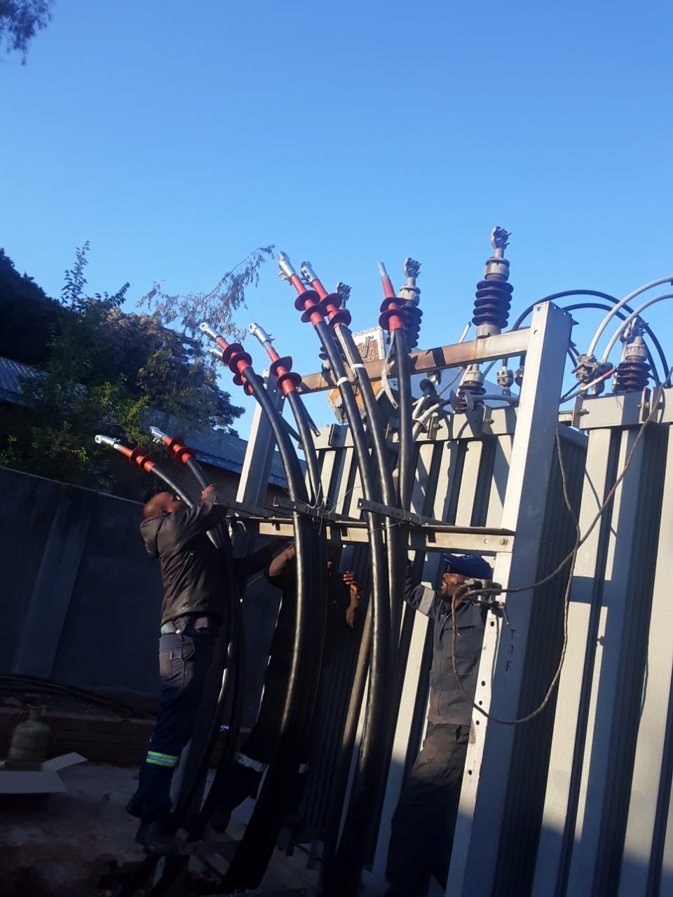 Hyacinth Project Images (3)