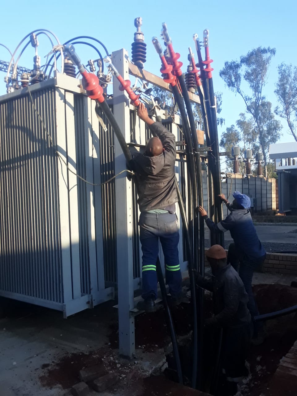 Hyacinth Project Images (5)